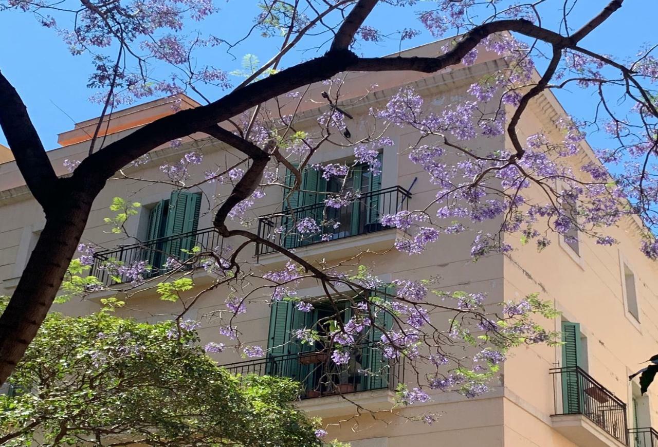 Appartement Center